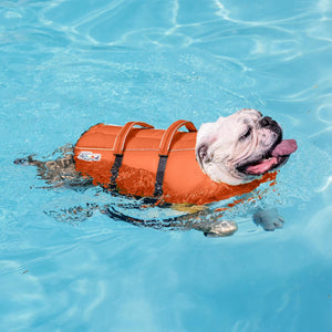 Outward Hound Dog Lifejacket  Med. Orange