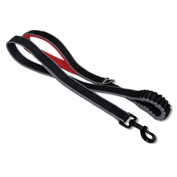 Kurgo Springback Leash 48"