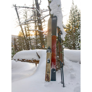 Altai 2025 Tao Skin Skis w/ Inserts - 165cm